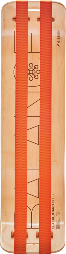 L'ENTRAÎNEUR D'ÉQUILIBRE ULTIME