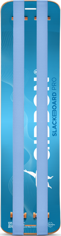 SlackBoard Pro - Vibe